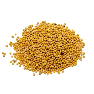 BIO MUSTÁRMAG, ARANYSÁRGA, 500 G
