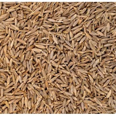 BIO RÓMAI KÖMÉNY, EGÉSZ 400 G